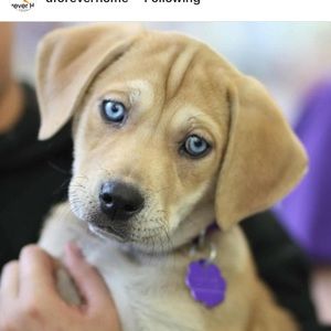 Meet your Posher, Tina